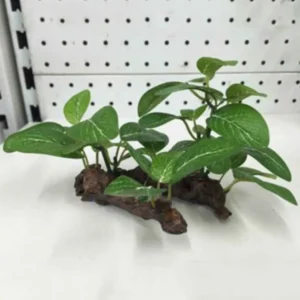 Set of realistic artificial aquarium plants anchored on a faux wood base in a fish tank